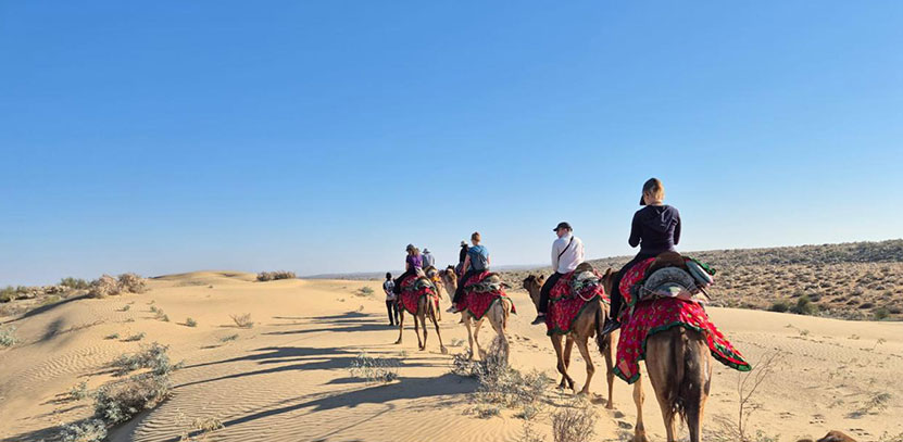 Complete Safari Combo – Camel, Jeep & Cultural Show in Jaisalmer